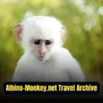 Albino-monkey.net Travel Archives