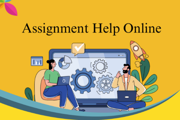 Help Me Assignment Online