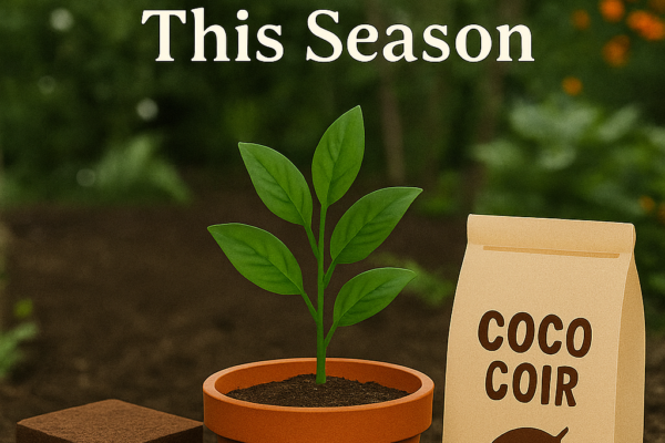 Why you should buy coco coir for your garden this season coco coir