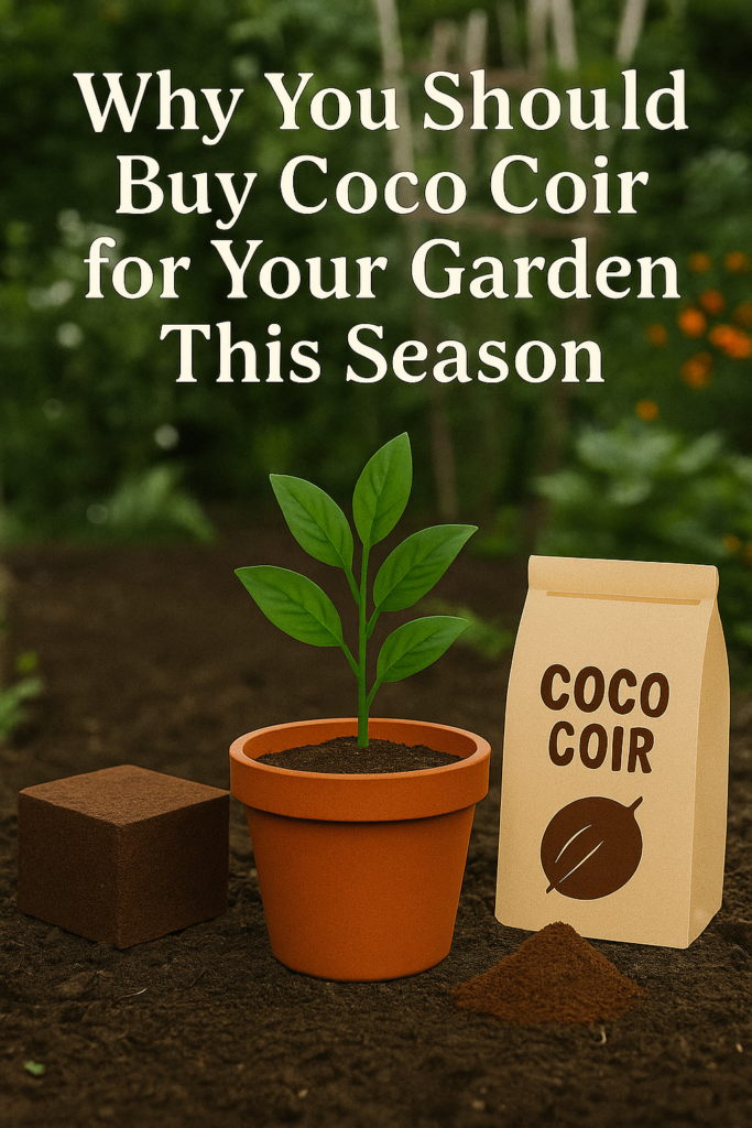 Why you should buy coco coir for your garden this season coco coir